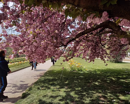 028 Une gardienne lui est spécialement attribué.