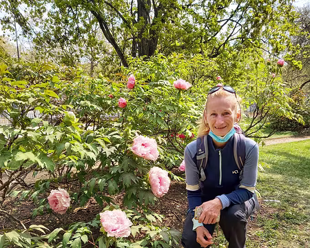 030 Dans les pivoines géantes