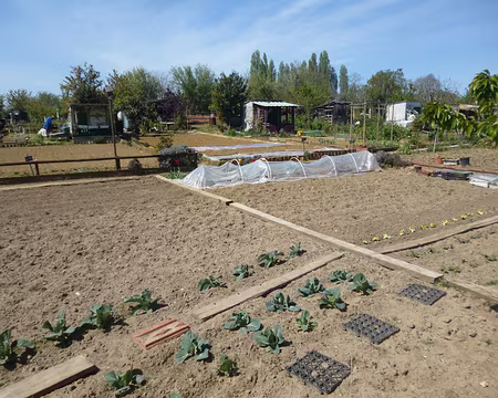 P1130508 Les jardins familiaux...