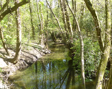 P1130521 Le Réveillon