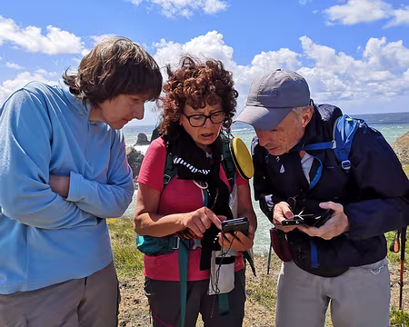 IMG_20210522_131227 Coordination