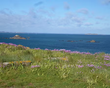 P1130596 Arméries maritimes