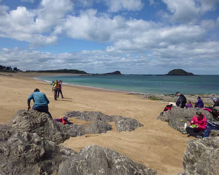 P1130613 - Copie (2) Plage des Chevrets