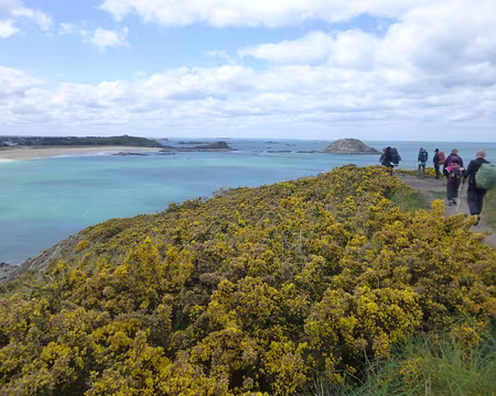 P1130616 - Copie (2)