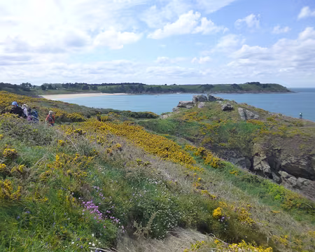 P1130622 - Copie (2)