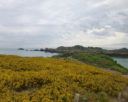 P1130636 - Copie La pointe du Grouin et l'île des Landes