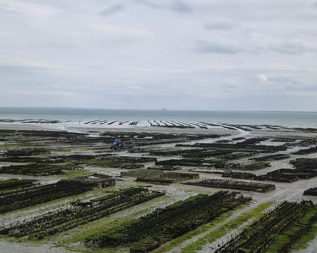 P1130655 - Copie Les parcs à huîtres