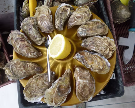 P1130660 - Copie ...et dégustation pour certains...