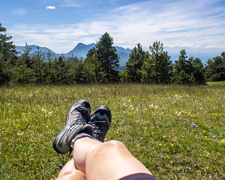 41-IMG_0296 Pause...