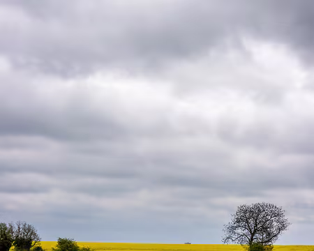 03-IMG_0052 Entre Etréchy et Villeneuve sur Auvers