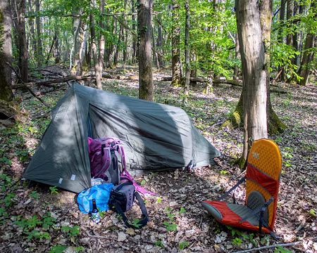 13-IMG_0064 Bivouac dans la forêt