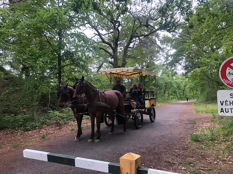 2021-05 Fontainebleau-Avon