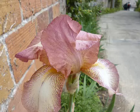 P1130711