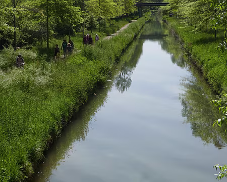 P1070009 Le canal du Clignon
