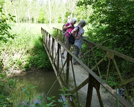 P1070011 Au milieu du marais du Négando, le Pont d’Arcole sur l’Ourcq