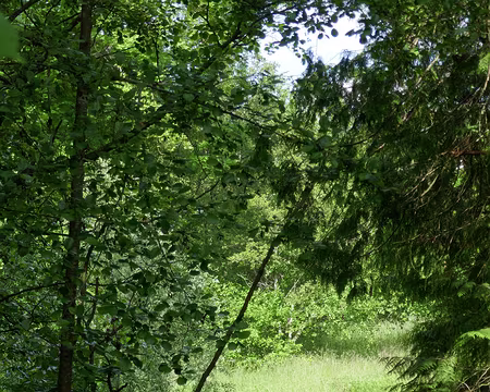 P1070027 L’Ourcq à Lizy-sur-Ourcq