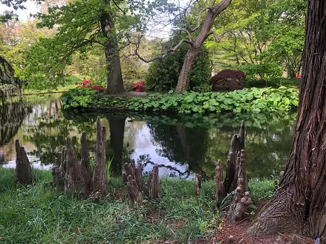 2021-05 Vallée aux Loups