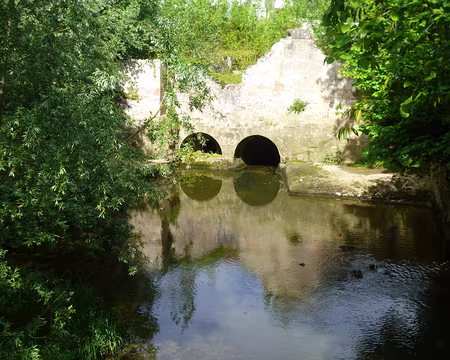 P1130753 L'Ourcq à Lizy-sur-Ourcq. Merci à Marina et François.