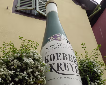 0005 Un excellent Pinot gris