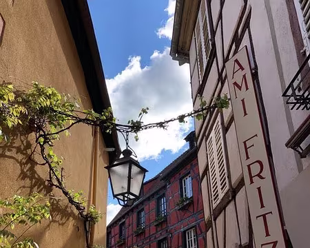 0036 notre gîte à Ribeauvillé