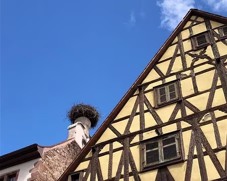 0055 Riquewihr