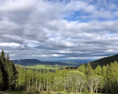 0067 belle vue du gîte l'Etang du Devin jusqu'à la Forêt Noire