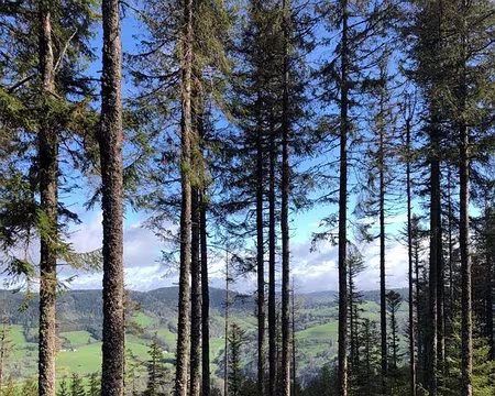 0090 l'éclaircie arrive