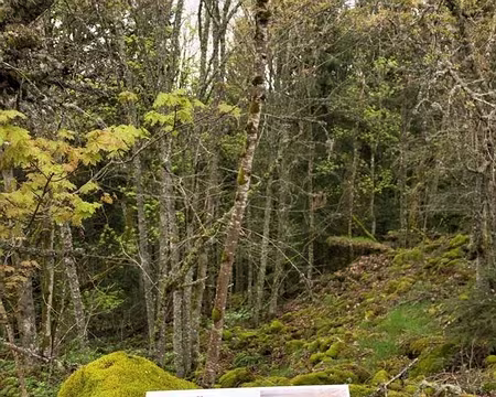 0103 abris et tranchées de la guerre 1914/18