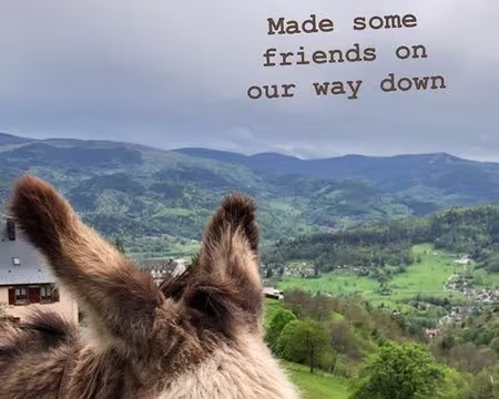 0109 dernière rencontre, nous n'avons pas utilisé ses services, peut-être la prochaine fois