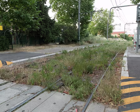 001_4V1A4865 Gare de la Blancarde, il y a encore des trains qui passent ici ?