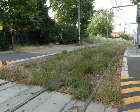 001_4V1A4865 Gare de la Blancarde, il y a encore des trains qui passent ici ?