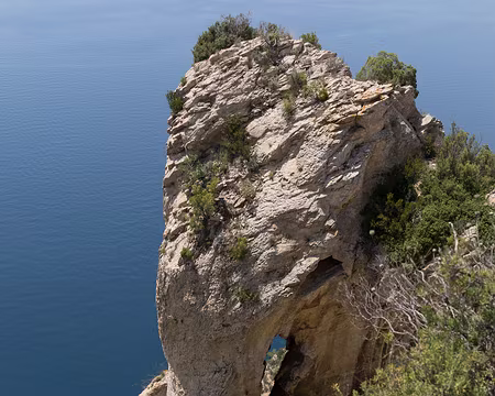 025_4V1A4975 Un éléphant pétrifié ?