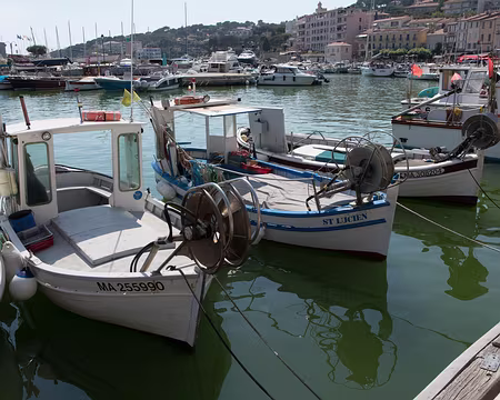 033_4V1A5001 Pointus dans le port de Cassis