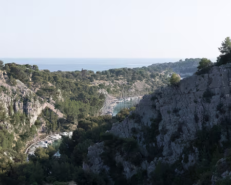 035_4V1A5003 Calanque de Port Miou