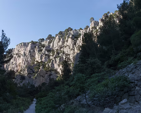 042_4V1A5030 Dans le vallon d’En Vau