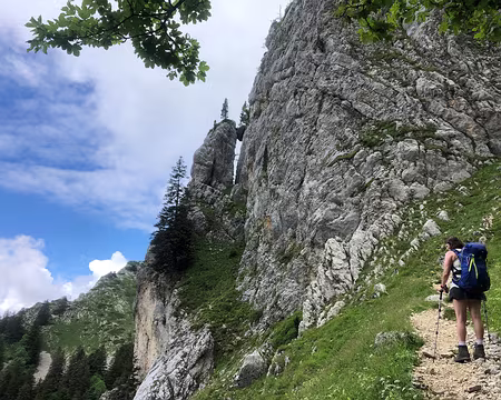 31 Vers le pas du loup