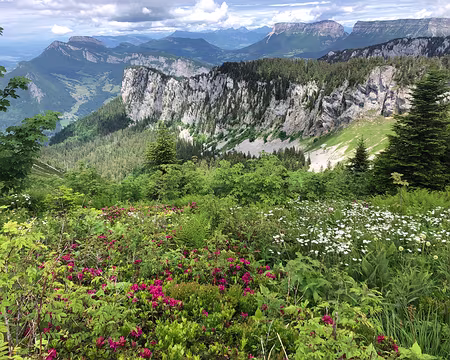 34 Le Granier, au 2ème plan