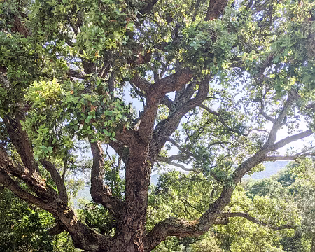 20210612-17h23m03s-PXL_20210612_152303858-V3