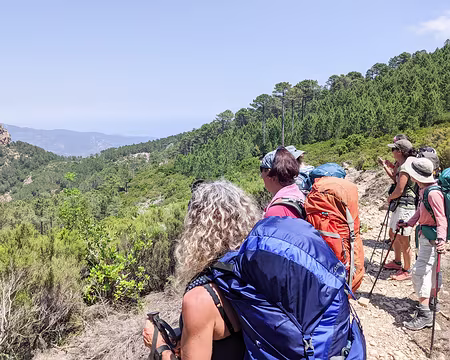 20210613-13h39m19s-PXL_20210613_113919286-V3