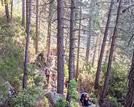 20210614-07h01m56s-PXL_20210614_050156478-V3