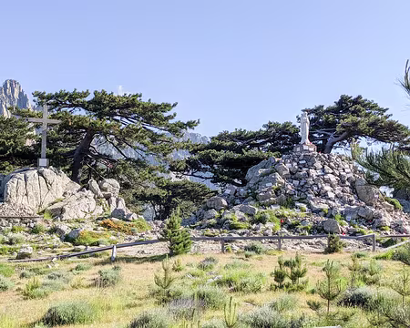 20210614-08h48m39s-PXL_20210614_064839232-V3