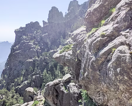 20210614-10h04m19s-PXL_20210614_080419964-V3