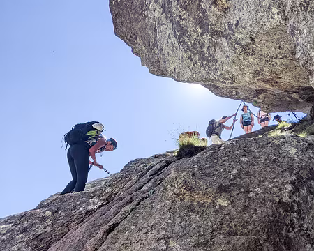 20210614-10h26m07s-PXL_20210614_082607303-V3 un peu de verticalité