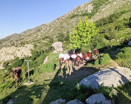 20210615-07h18m06s-PXL_20210615_051806105-V3