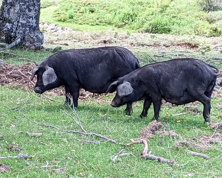 20210615-13h25m48s-PXL_20210615_112548369.MP-V3