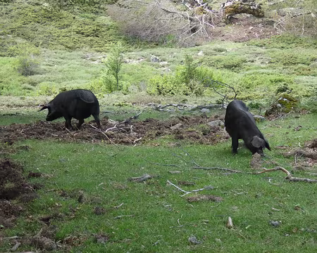 20210615-13h43m05s-IMG_3467-V3