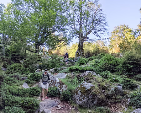 20210616-07h22m55s-PXL_20210616_052255172-V3