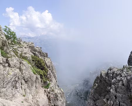 20210616-10h53m32s-PXL_20210616_085332611-V3