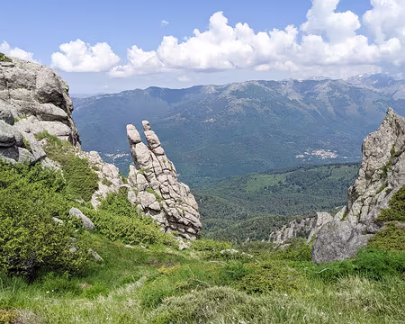 20210616-12h03m00s-PXL_20210616_100300252-V3