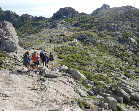 20210617-08h42m52s-IMG_3502-V3